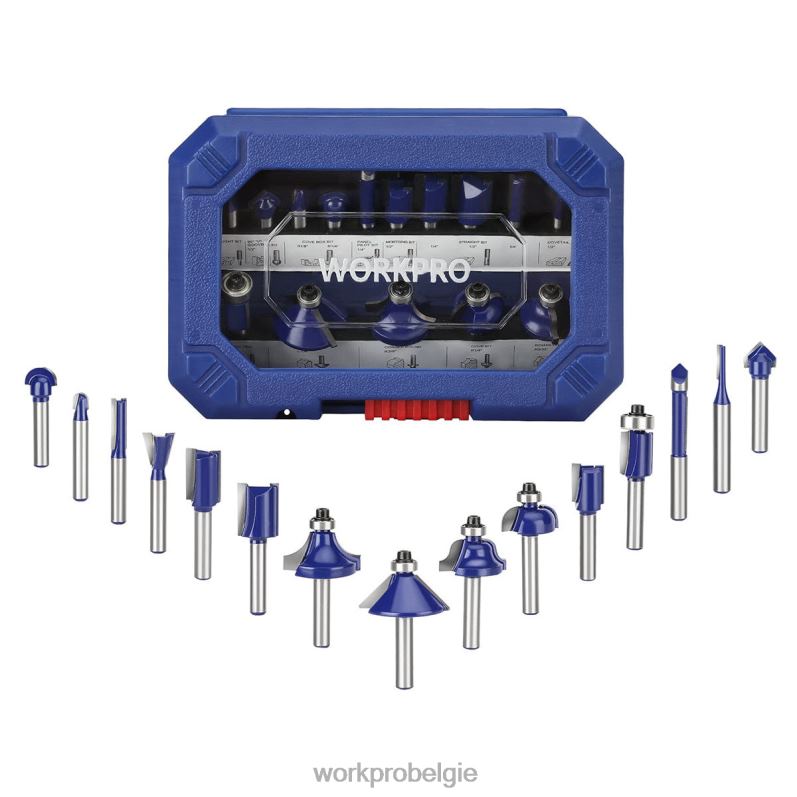 WORKPRO 15-delige freesbitset, wolfraamcarbide freesbits met 1/4 inch schacht 6BNP0130 hulpmiddel morden