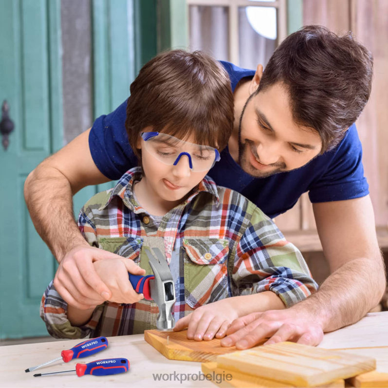 WORKPRO 9-delige junior gereedschapsset voor kinderen met gereedschapstas 6BNP0253 hulpmiddel roze blauw