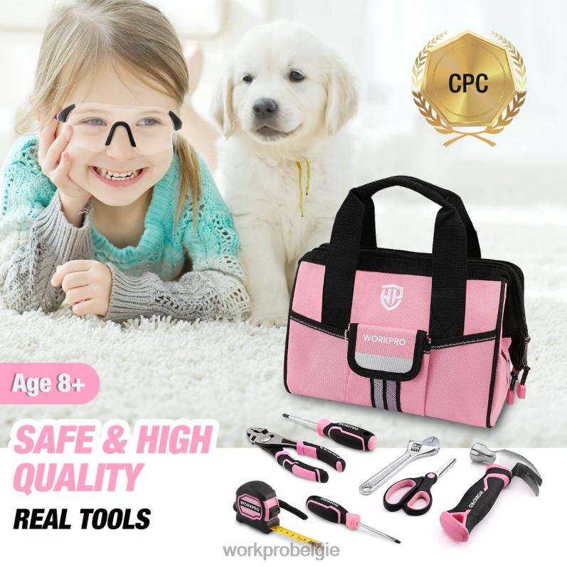 WORKPRO 9-delige junior gereedschapsset voor kinderen met gereedschapstas 6BNP0253 hulpmiddel roze blauw