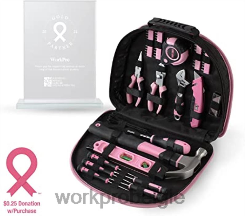 WORKPRO 12V accuboormachineset & 103-delige gereedschapsset & 8-delige magnetische schroevendraaierset & 6-in-1 nietpistool 6BNP0315 hulpmiddel roze