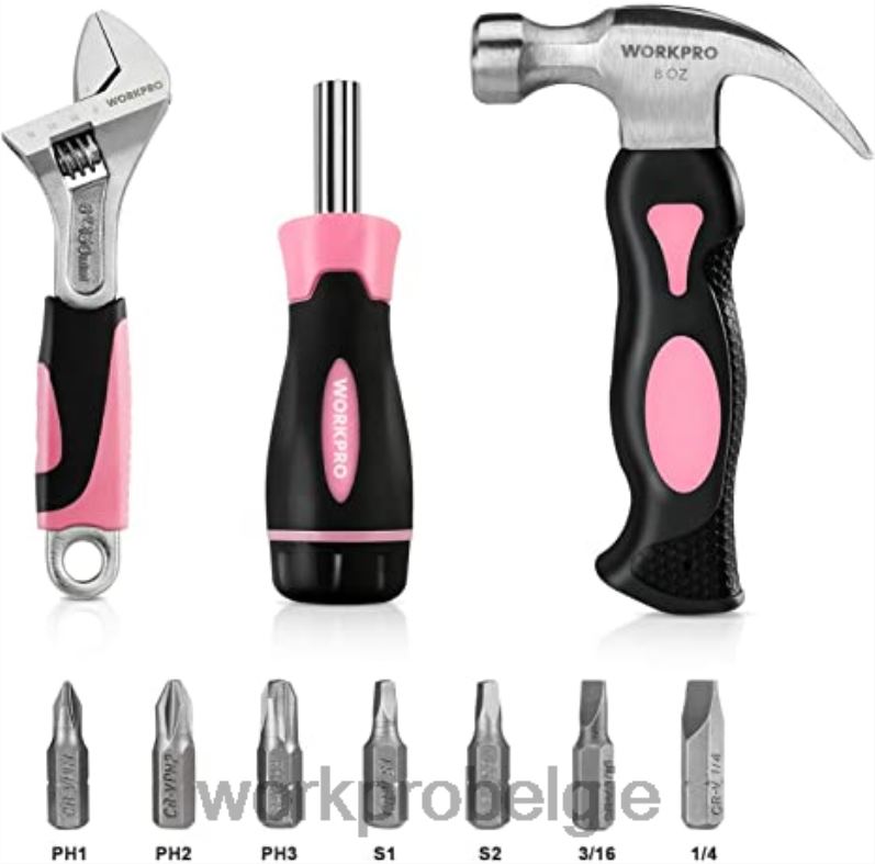WORKPRO 20V accuboormachineset & 6-delige minitang & 10-delige gereedschapsset & acculijmpistool 6BNP0316 hulpmiddel roze
