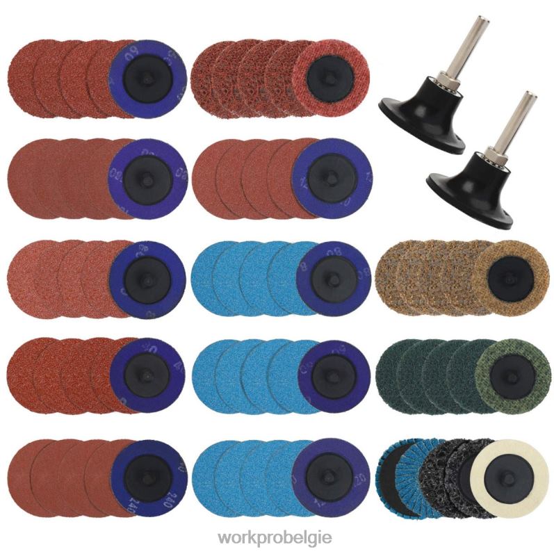 WORKPRO 101-delige schuurschijvenset 2 inch schijven met 1/4 inch houder 6BNP0193 hulpmiddel bruikbaar