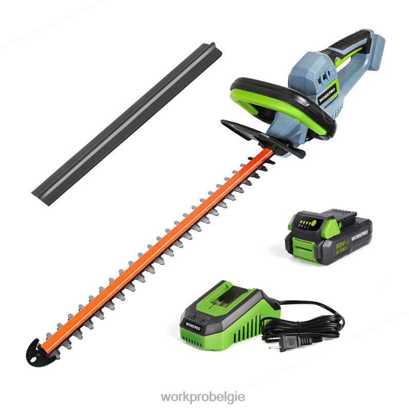 WORKPRO 20V draadloze heggenschaar Dual Action-messen Elektrisch tuingereedschap 2,0 Ah batterij en 1 uur snellader inbegrepen 6BNP0295 hulpmiddel morden
