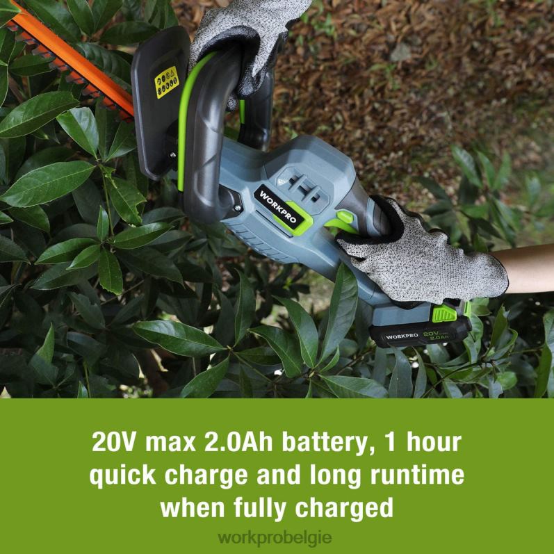 WORKPRO 20V draadloze heggenschaar Dual Action-messen Elektrisch tuingereedschap 2,0 Ah batterij en 1 uur snellader inbegrepen 6BNP0295 hulpmiddel morden