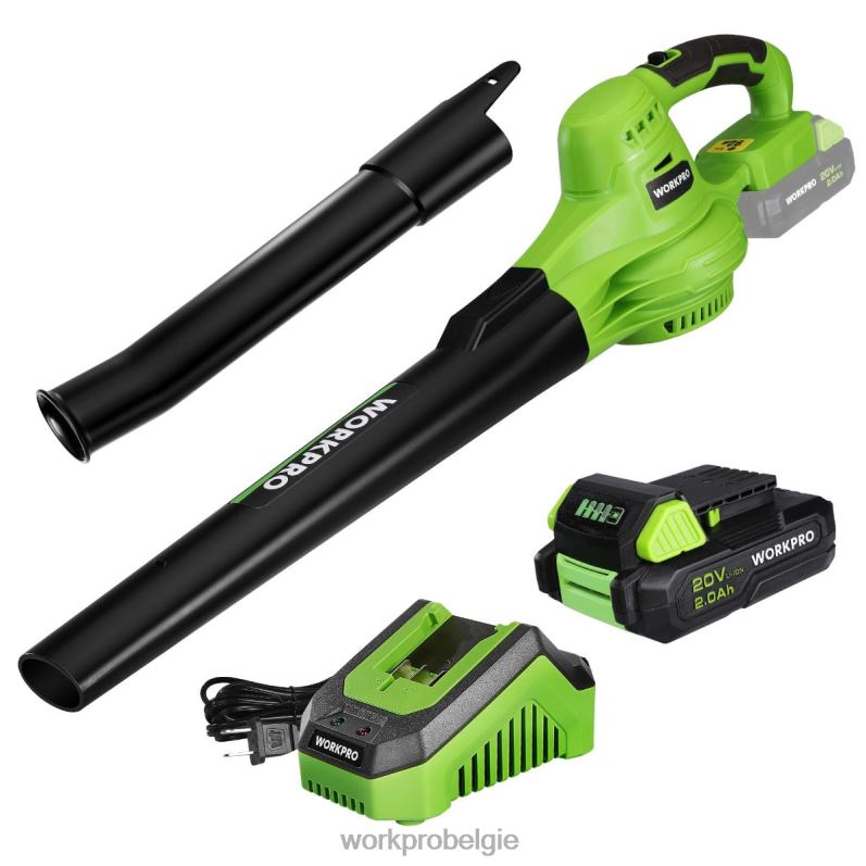 WORKPRO 20v lichtgewicht mini draadloze bladblazer met batterij en oplader, 2 snelheden 6BNP0303 hulpmiddel morden