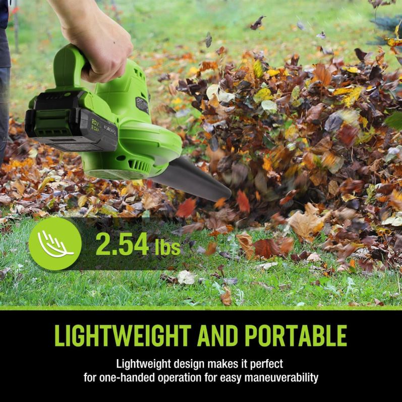 WORKPRO 20v lichtgewicht mini draadloze bladblazer met batterij en oplader, 2 snelheden 6BNP0303 hulpmiddel morden