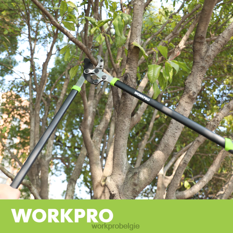 WORKPRO aambeeldschaar, 32 inch takkensnijder met samengestelde werking, robuuste tuinboomtrimmer 6BNP0282 hulpmiddel morden
