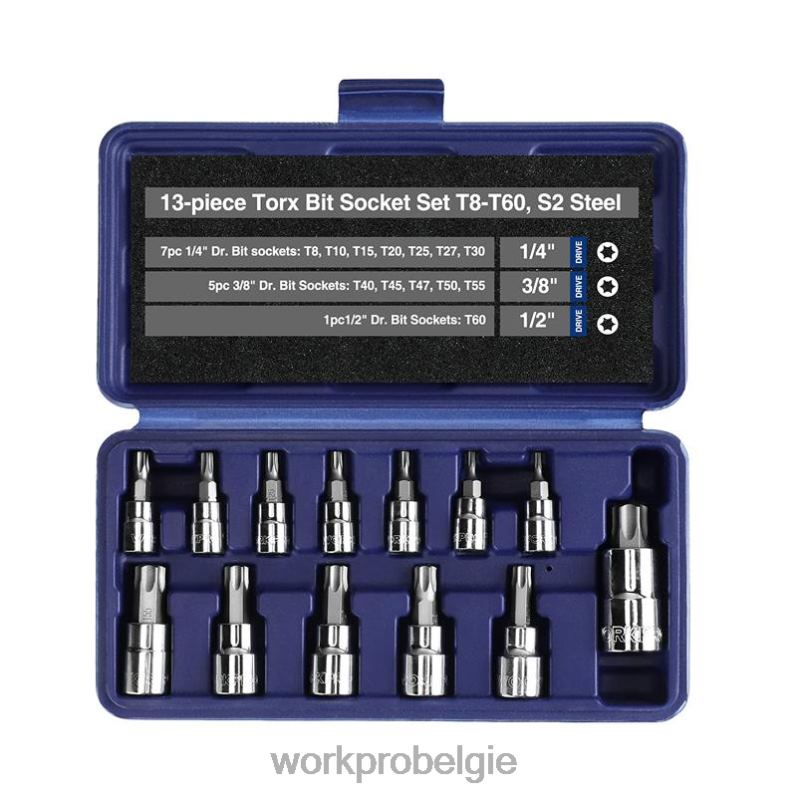 WORKPRO 13-delige torx bitdoppenset (alleen voor handgebruik) 6BNP0127 hulpmiddel morden