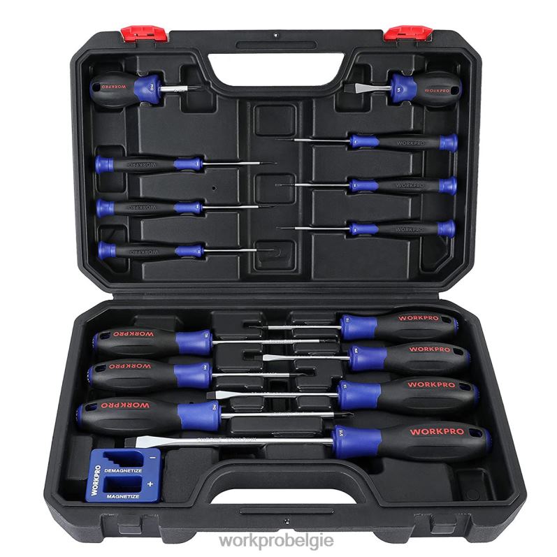 WORKPRO Magnetische schroevendraaierset, 16-delige torx kruiskopschroevendraaiers met gleuf en magnetiseur 6BNP098 hulpmiddel nieuw