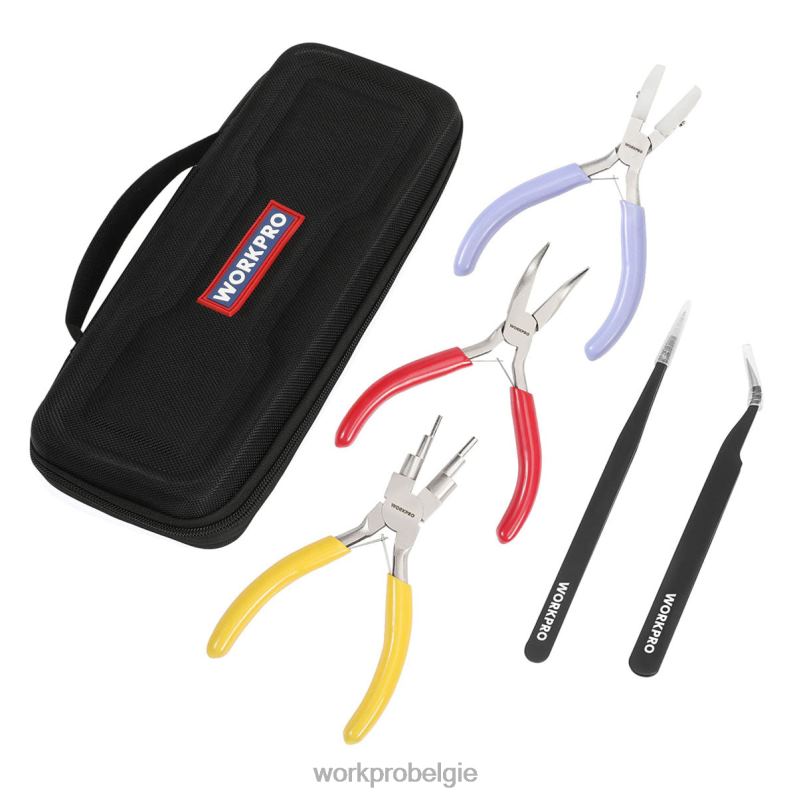 WORKPRO 5 stuks sieradentangen, sieradengereedschap inclusief 6 in 1 draadlustang, nylon neustang, gebogen neustang, puntig pincet, gebogen pincet 6BNP075 hulpmiddel bruikbaar