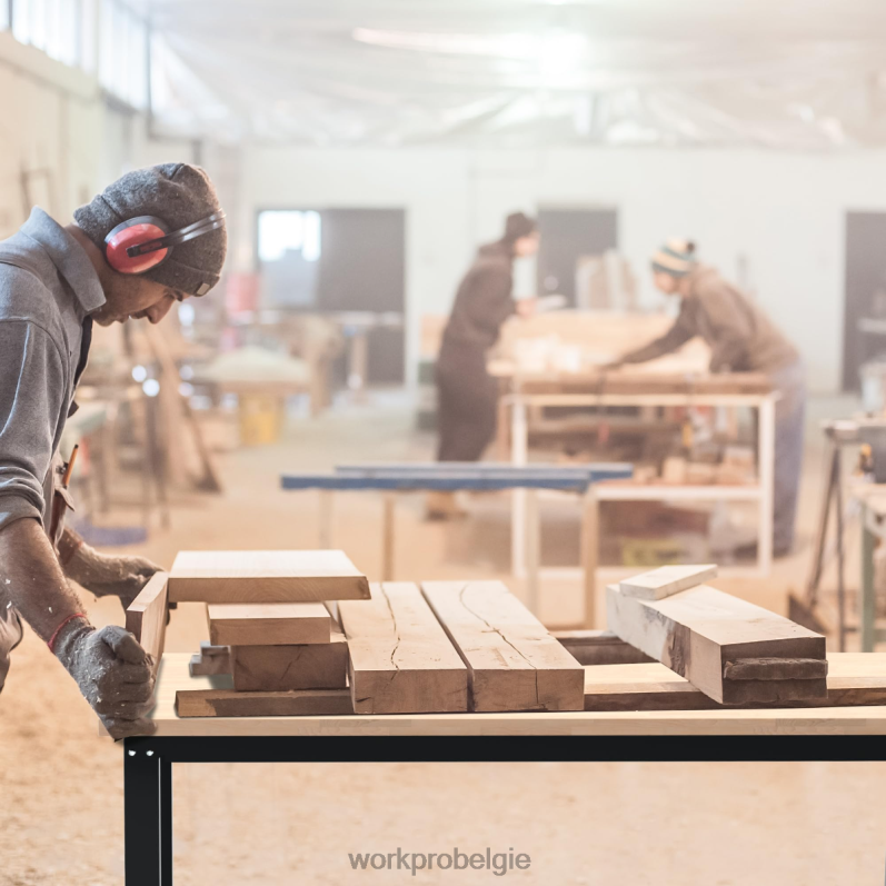 WORKPRO verstelbare werkbank 3000 lbs draagvermogen hardhouten werktafel met stopcontacten 6BNP04 opslag bruikbaar